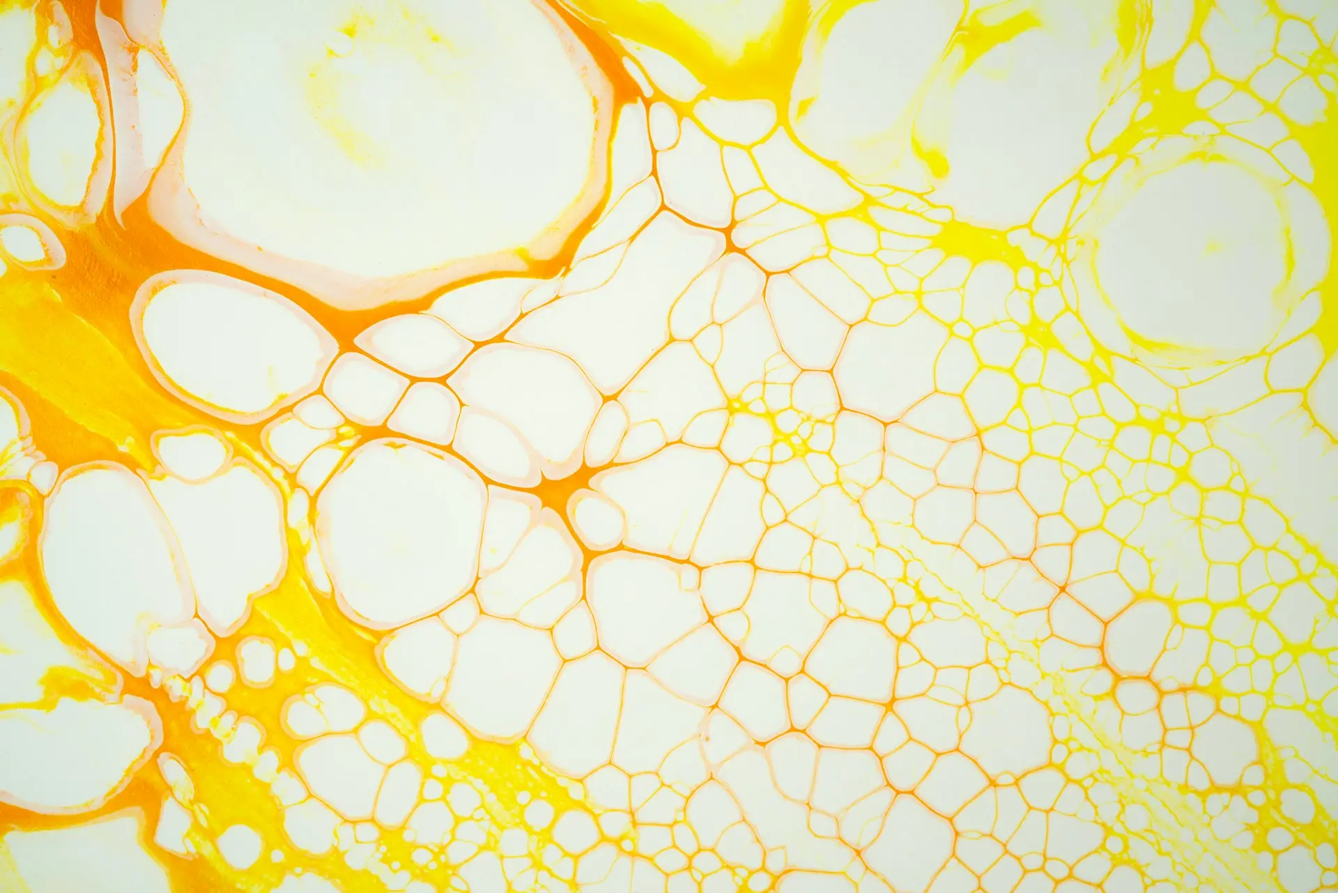 waste water treatment chemicals